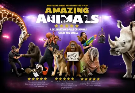 Amazing Animals