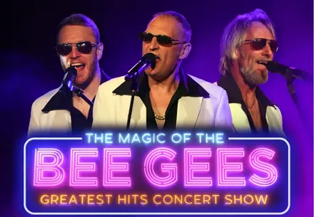 The Magic of the Bee Gees