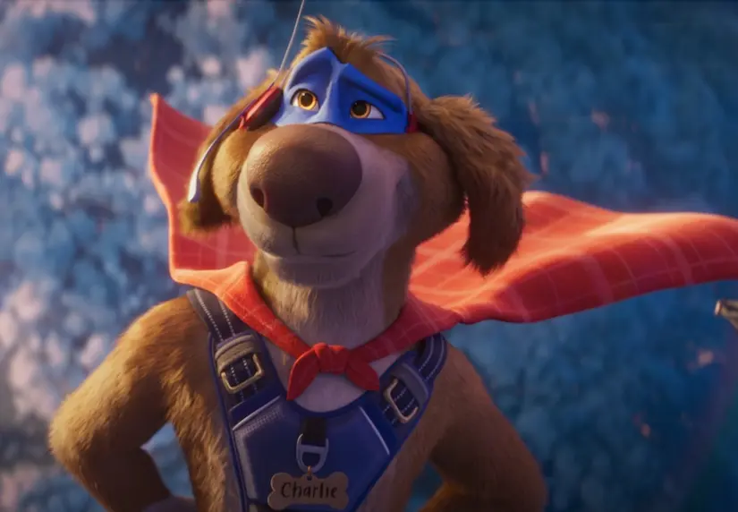 Charlie The Wonderdog